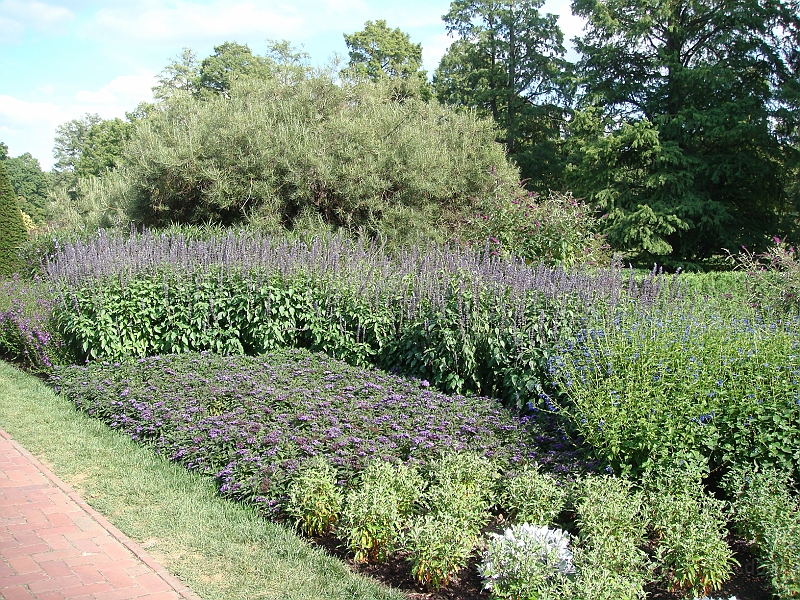 154 Longwood Gardens [2008 August 23].JPG - Longwood Gardens in Pennsylvania